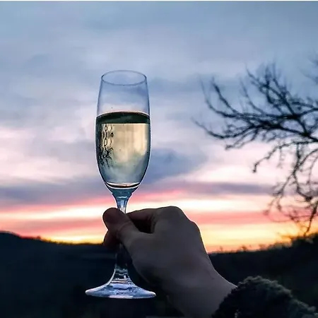 Villa Olivi - A Natural Paradise Near Motovun