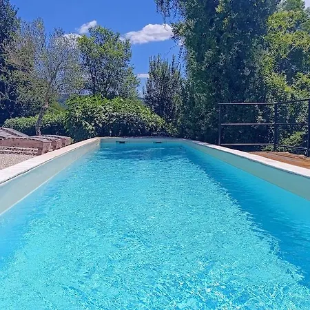 Villa Olivi - A Natural Paradise Near Motovun *