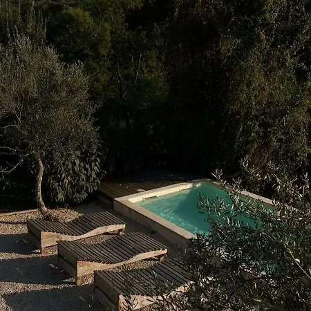 Olivi - A Natural Paradise Near Motovun Brkac