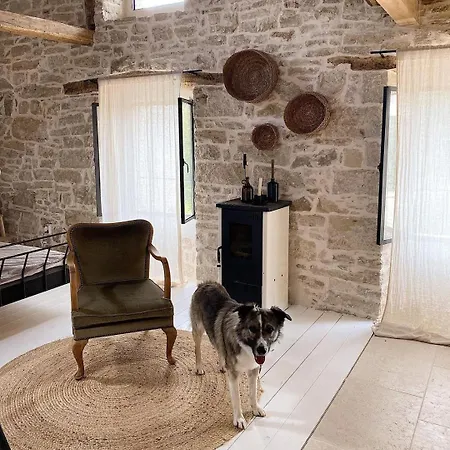 Villa Olivi - A Natural Paradise Near Motovun Brkac