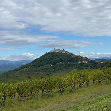 Olivi - A Natural Paradise Near Motovun Villa *