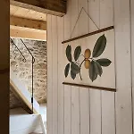 Olivi - A Natural Paradise Near Motovun * Brkac