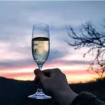 فيلة Olivi - A Natural Paradise Near Motovun