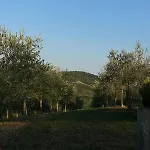Olivi - A Natural Paradise Near Motovun Brkac