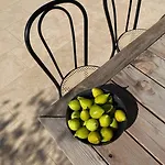 Olivi - A Natural Paradise Near Motovun * Brkac