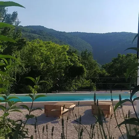 Olivi - A Natural Paradise Near Motovun Brkac