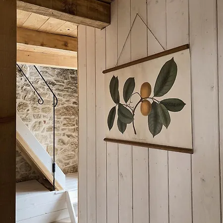 Olivi - A Natural Paradise Near Motovun * Brkac