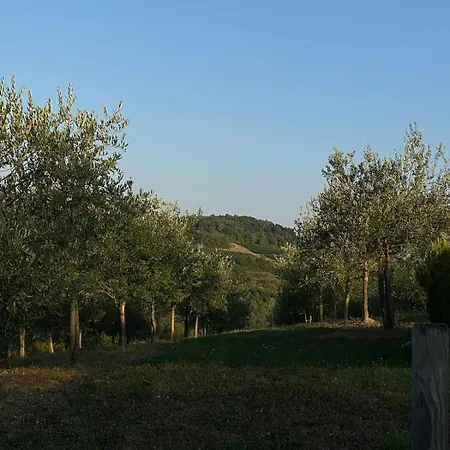 Olivi - A Natural Paradise Near Motovun Brkac