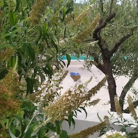 빌라 Olivi - A Natural Paradise Near Motovun