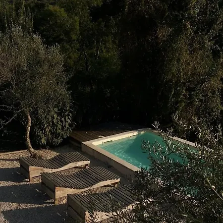 Olivi - A Natural Paradise Near Motovun Brkac