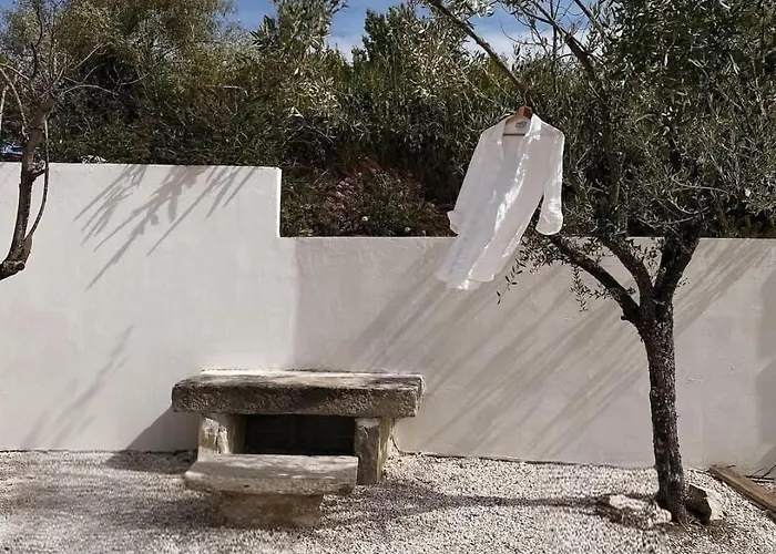 Olivi - A Natural Paradise Near Motovun Brkac